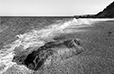 By the Shore 15